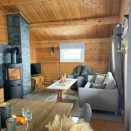 Feriehus Near Three Alpine Centres In Trysil