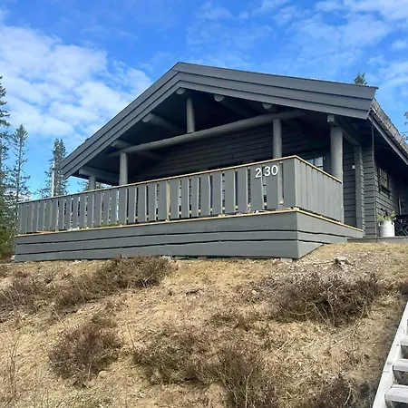 Near Three Alpine Centres In Trysil