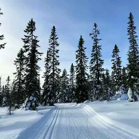 Near Three Alpine Centres In Trysil Østby