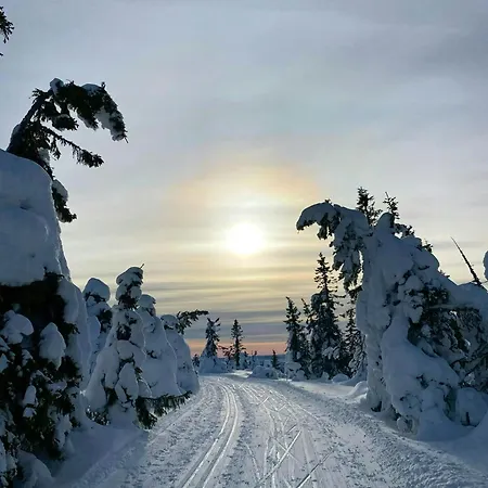 Near Three Alpine Centres In Trysil Østby